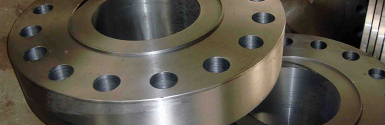 Acero Inoxidable 310 Bridas